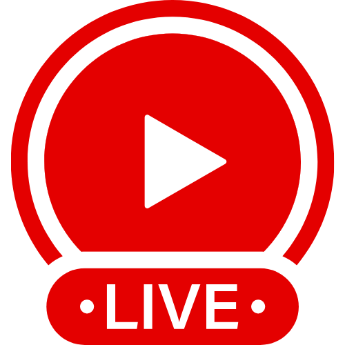 Transvideochat | Live Webcam Shows & Interactive Adult Entertainment